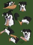  bad_collie bestiality border_collie canine cum cum_in_mouth cum_inside dog fellatio feral green_eyes human human_on_feral humanoid_penis interspecies licking male mammal oral oral_sex penis saliva sex sucking tongue 