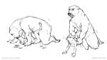 2018 adam_wan all_fours ambiguous_penetration anthro anthro_on_anthro bent_over black_and_white black_nose breasts canid canine canis cum cum_inside cum_on_ground doggystyle duo eyes_closed female french_kissing from_behind_position fur interspecies kissing larger_male legs_up lying male male/female male_penetrating mammal missionary_position monochrome nude on_back onomatopoeia open_mouth penetration sex simple_background size_difference sketch small_breasts smaller_female sound_effects teeth text tongue tongue_out torso_grab url ursid white_background wolf 