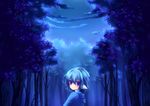  blue blue_hair clouds konno_kengo short_hair tears tree 