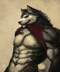  aesthetic_machine anthro biceps blue_eyes bottomless canine chest_tuft clothed clothing dog fur half-dressed husky looking_at_viewer male mammal muscles nipples nude pecs pose shirt shirt_lift solo tank_top topless tuft 