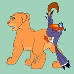  avian bird cum cum_inside disney feline female from_behind hornbill lion male nala penis pussy the_lion_king zazu 