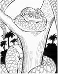  ambiguous_gender black_and_white coils female feral forked_tongue green_tree_boa greyscale jungle long_tongue monochrome oscar_marcus palm_tree pinup pose reptile scalie snake solo tongue tongue_out tree tube_top wood 