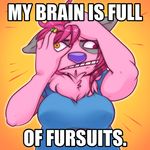  breasts canine chest_tuft confusion derp english_text female fur hair heterochromia image_macro mammal mcarson mcarson_(character) meme nail_polish pink_fur pink_hair solo text tuft 