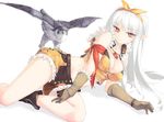  bare_shoulders bird boots breasts cleavage falcon fingerless_gloves gloves hair_ribbon large_breasts long_hair looking_at_viewer lying midriff on_side pointy_ears ragnarok_online red_eyes revision ribbon rokuwata_tomoe shorts silver_hair simple_background smile sniper_(ragnarok_online) solo white_background 