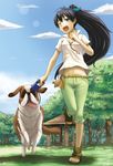  ;d animal belt black_hair blue_eyes bow cloud day dog dog_walking fang ganaha_hibiki gazebo grass hair_bow highres holding idolmaster idolmaster_(classic) inumi leash leg_up long_hair looking_at_viewer nature navel one_eye_closed open_mouth outdoors park ponytail running shirt shorts sky smile solo st_bernard toes tongue tree tsukikase white_shirt 