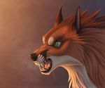  angry canine fangs fox fur green_eyes male mammal open_mouth orange04 orange_fur solo whiskers 