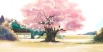  cherry_blossoms hanasei original scenic tagme 
