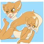  canine crossdressing feline fox foxcat hybrid imeow male mammal nickii panties underwear 