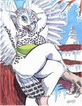  anthro avian big_breasts bikini bikini_top bird breasts clothed clothing colored crossed_legs eyeshadow feathered_wings feathers female forest green_clothing icicle looking_at_viewer makeup oscar_marcus owl panties pinup pose skimpy snow snowy_owl solo spread_wings striped_feathers swimsuit talons tight_clothing tree underwear white_feathers winged_arms wings wood yellow_eyes 