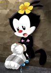  animaniacs dot_warner tagme 