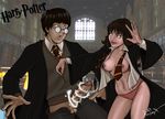  harry_james_potter harry_potter hermione_granger tagme 