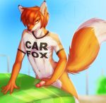  car_fox carfax mascots tagme 