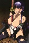  highschool_of_the_dead saeko_busujima tagme 