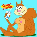  sandy_cheeks spongebob_squarepants tagme 