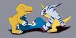  agumon digimon gabumon veemon x 