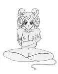  iron_mouse sailor_moon tagme 