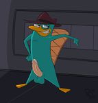  perry_the_platypus phineas_and_ferb rotten_robbie tagme 