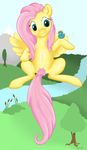  cynicalmoose fluttershy friendship_is_magic my_little_pony tagme 