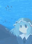  artist_request fish kawashiro_nitori solo touhou two_side_up underwater 