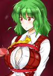  tagme touhou yuka_kazami 