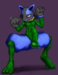  lucario pokemon tagme wrong 