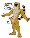  2012 abs anthro balls beachfox biceps brown_fur don don_(regular_show) erection fur humanoid_penis looking_at_viewer male mammal muscles nipples nude pecs penis plain_background pose presenting raccoon regular_show solo standing toned vein white_background 