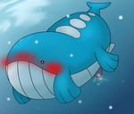  pokemon tagme wailord 