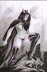  birds_of_prey dc huntress jonatas tagme 