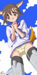  animal_ears brown_eyes brown_hair dr_rex miyafuji_yoshika panties school_uniform serafuku short_hair solo strike_witches striker_unit tail underwear world_witches_series 