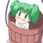  blush bucket geetsu green_eyes green_hair hair_bobbles hair_ornament in_bucket in_container kisume oekaki solo touhou twintails wooden_bucket 