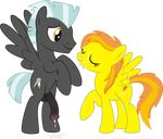  friendship_is_magic my_little_pony spitfire tagme thunderlane 