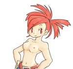  flannery pokemon tagme 