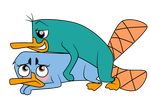  perry_the_platypus phineas_and_ferb tagme 