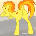  friendship_is_magic my_little_pony spitfire tagme whoop 