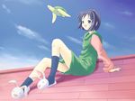  animal_slippers arm_support blue_eyes blue_hair bob_cut bunny_slippers cloud day dress hood hoodie love_hina maehara_shinobu open_mouth rooftop short_hair sitting sky slippers solo takano_hayato tama_(love_hina) turtle 