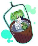  bucket bucket_of_water food fruit gochou_(atemonai_heya) green_hair holding holding_food holding_fruit in_bucket in_container kisume solo touhou watermelon wooden_bucket 