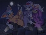  blaze_the_cat rouge_the_bat sonic_team tagme wave_the_swallow 