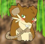  pokemon raticate tagme 