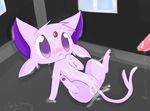  chibitracy espeon pokemon tagme 