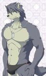  abs abstract_background anthro biceps big_muscles black_nose broad_shoulders bulge canine dog dog_tags fur grey_fur grey_hair grin hair husky ig kouya_aotsuki looking_at_viewer male mammal morenatsu muscles nipples pecs pose smile solo speedo standing swimsuit toned topless yellow_eyes 