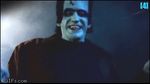  animated cosplay herman_munster lily_munster the_munsters 