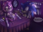  amy_rose blue-chika sonic_team sonic_the_hedgehog sonictopfan 