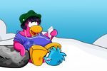  club_penguin puffle tagme 