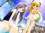  :d ball bandeau bangs beach beachball bikini blonde_hair blue_eyes blue_sky blue_swimsuit blush bow breasts clenched_hand cliff cloud cloudy_sky coconut day dutch_angle flat_chest from_side game_cg hair_bow hairband harley_sarasa_bastille holding leaning_forward light_rays long_hair looking_at_viewer multiple_girls navel o-ring o-ring_top one-piece_swimsuit open_mouth outdoors palm_tree parted_bangs peko plaid red_eyes sakura_machizaka_stories school_swimsuit sensei_ga_oshiete_ageru sera_ranevskaya side-tie_bikini silver_hair sitting sky small_breasts smile soaking_feet standing sun sunbeam sunlight swimsuit transparent tree water white_bikini 