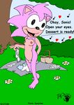  amy_rose kthanid sonic_cd sonic_team tagme 