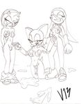  amy_rose rouge_the_bat sonic_team tagme wave_the_swallow 