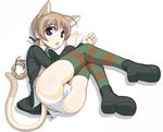  animal_ears ass blue_eyes braid caryo kneepits lynette_bishop multicolored multicolored_clothes multicolored_legwear nanashino no_pants panties single_braid solo strike_witches striped striped_legwear tail thighhighs underwear world_witches_series 