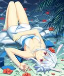  animal_ears bikini blush breasts collarbone dj_max flower hair_flower hair_ornament hibiscus keikei_(kitty_colors) legs long_legs looking_at_viewer lying md5_mismatch medium_breasts on_back partially_submerged petals purple_eyes red_eyes short_hair silver_hair smile solo suee swimsuit thigh_gap underwear water white_bikini white_swimsuit 