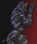  anthro biceps big big_muscles body_markings butt canine claws erection fangs fur looking_at_viewer looking_back male mammal markings muscles nude penis pose rrowdybeast solo stripes vverevvolf wall were werewolf wolf 