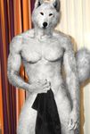  edit male mammal photo_manipulation photomorph solo teasing tempkitty towel wolf 